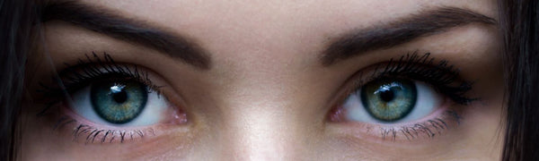 Contact Lens Basics