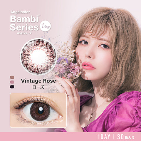 Bambi 1 Day, 30/Box-T-Garden-Sin Chew Optics