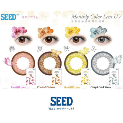 SEED Monthly Color Lens UV Gold & Brown, 2/Box-SEED-Sin Chew Optics