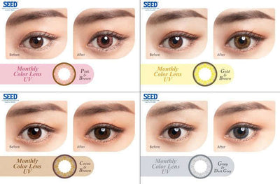 SEED Monthly Color Lens UV Gold & Brown, 2/Box-SEED-Sin Chew Optics